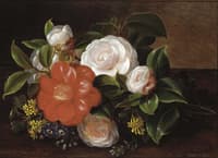 Red and white camellias