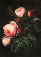 Branches of pink roses