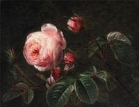 Branches of pink roses