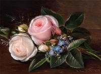 A bunch of roses and forget-me-nots on a sill
