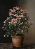 Still life of flowers in a terracotta pot