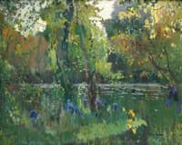 Riverbank in the forest