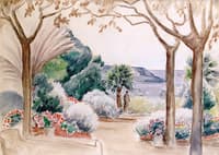 Woman on the Terrace, Le Pradet