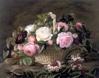 A basket of pink and white and red roses with honeysuckle