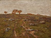 Hillside Trees