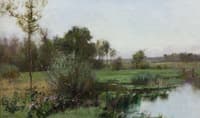 Meadow in Spring
