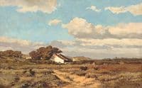 Hill in Domburg