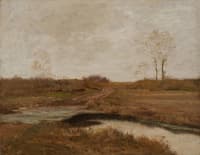 Southfield Marshes, Staten Island
