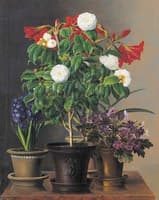 Camelias, amaryllis, hyacinth and violets in ornamental pots on a marble ledge