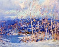 Winter Trees