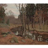 A Creek in the Woods