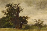 The Old Oak
