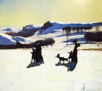 Snow Fields