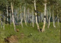 The Birch Grove