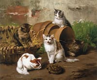 Kittens in the Garden with Turtle