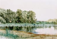 Marsh Scene