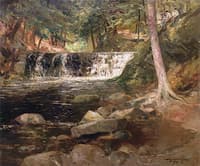 Forest Interior with Stream and Waterfall