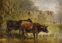 The Watering Place