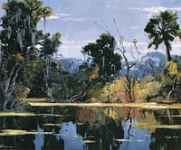 Anastasia Swamp