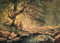 Forest Stream