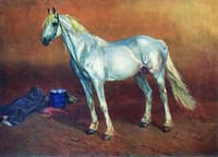 A Horse