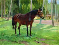 A Horse