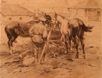 Feeding the Horses
