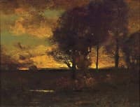 Evening