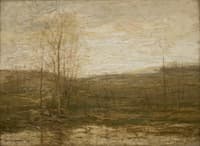 Afternoon in November