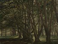 Beech Trees, Carmichael