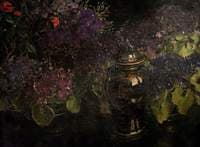Cinerarias