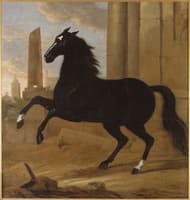 Favourite, one of King Karl XI's riding horses