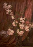 Double Japanese Cherry