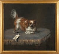 The Dog