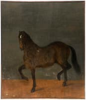 The Horse Called Brandklipparen