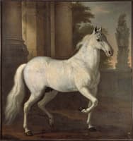 King Karl XI's Horse Brilliant