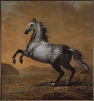 King Karl XI's Horse 'Lille Engländaren'