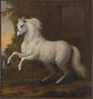 King Karl XI's Horse 'Kortom'