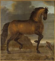 King Karl XI's Horse 'Stenbock'