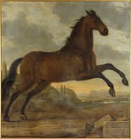 King Karl XI's Horse 'Sultan'