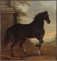 King Karl XI's Horse 'Tott'