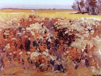 Flowering Fields