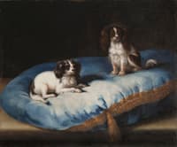 Two Dogs