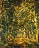 Path amog the Trees at Souliers