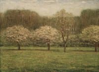 The Orchard