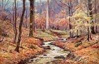 Fall in the Ravine