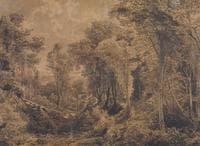 Wooded Landscape
