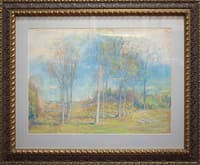 Spring Landscape