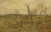 Edge of a Clearing