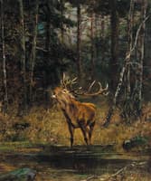 The Stag